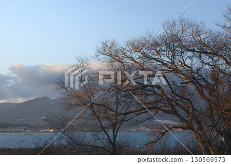 Lake and dead tree 130569573