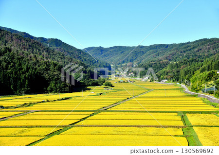 View of the Tanokuchi rice terraces (Nagano City, Nagano Prefecture) [September 2025] 130569692