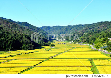 View of the Tanokuchi rice terraces (Nagano City, Nagano Prefecture) [September 2025] 130569693