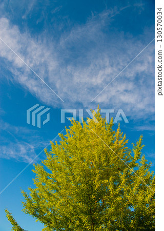 Autumn sky Autumn sky 130570034