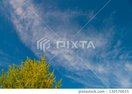 Autumn sky Autumn sky 130570035