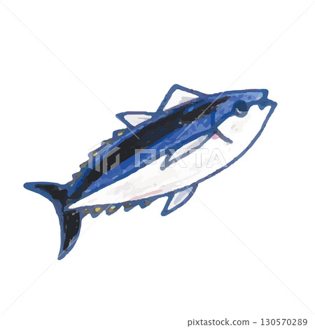 東北金槍魚的可愛插圖 130570289