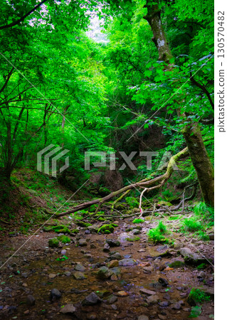 The whispers of a deep green mountain stream The whispers of a deep green mountain stream 130570482