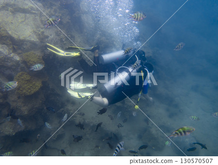 A man and a woman diving underwater on a coral reef in the South China Sea in Vietnam 130570507