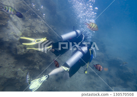A man and a woman diving underwater on a coral reef in the South China Sea in Vietnam 130570508