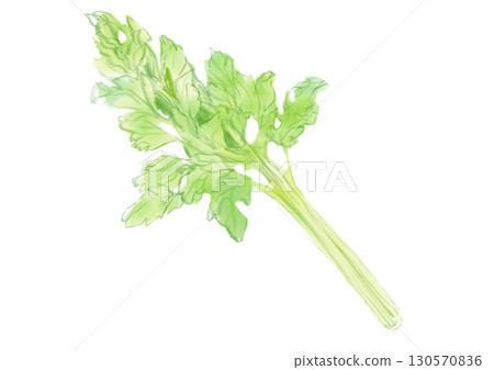 Fresh and delicious celery hand-drawn watercolor illustration Fresh and delicious celery hand-drawn watercolor illustration 130570836