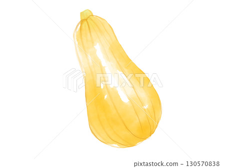 美味新鮮採摘的冬南瓜手繪水彩插圖 130570838