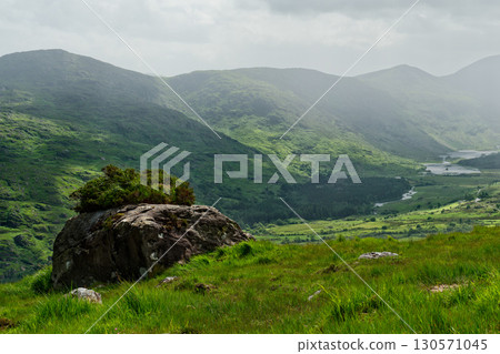 There is a pretty spot in the Gap of Dunloe in County Kerry, Ireland, where a boulder is covered with bushes and trees. It is surrounded by green hills. 130571045