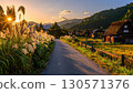Japanese pampas grass swaying in the autumn breeze and a Gassho-style house 130571376
