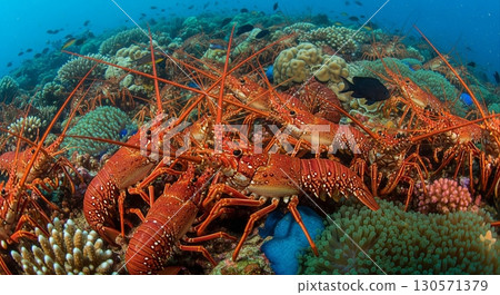 School of spiny lobsters 130571379
