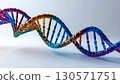 DNA的3D影像 130571751