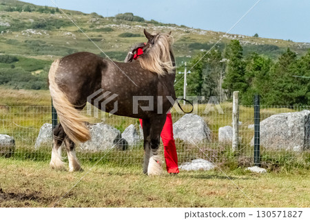 Rider are enjoying the Meenacross Agricultural Show Rider are enjoying the Meenacross Agricultural Show 130571827