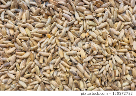 Close up photo of whole milk thistle seeds, selective focus. Close up photo of whole milk thistle seeds, selective focus. 130572782