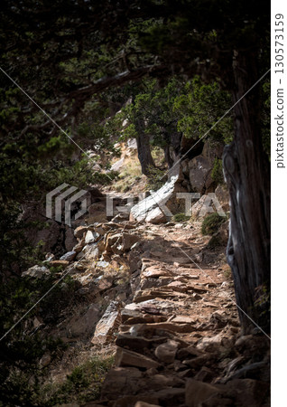 Rocky pathway through artemis nature trail in cyprus Rocky pathway through artemis nature trail in cyprus 130573159