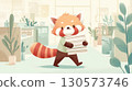 red panda, Ailurus, office 130573746