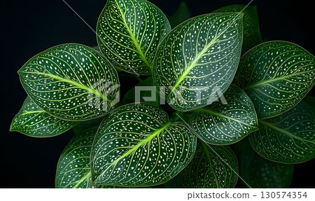 Detailed Close-Up of Green Leaves with White Speckles and Veins 130574354