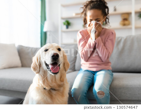 Pet Allergy Concept. Ill black girl sneezing and holding paper napkin, suffering from runny nose and nasal congestion, sitting on couch at home indoors in blurred background, selective focus on dog Pet Allergy Concept. Ill black girl sneezing and holding paper napkin, suffering from runny nose and nasal congestion, sitting on couch at home indoors in blurred background, selective focus on dog 130574647