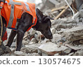 Search and rescue dog navigating rubble to find people after earthquake damage. 130574675
