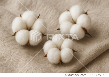 Cotton Flower Bolls on Linen Fabric Eco-Friendly Textile Production Minimal Rustic Home Aesthetic 130575150