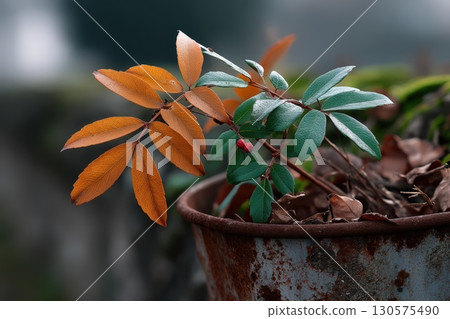 Colorful leaves and berries add beauty to an old rusty pot in a tranquil setting 130575490