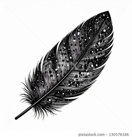 Black And White Detailed Feather Illustration 130576386