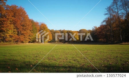 Bright autumn foliage surrounds a lush green meadow under a clear blue sky. The tranquil setting invites relaxation and offers a picturesque view of nature's seasonal transformation. 130577024