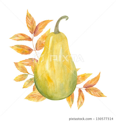 Watercolor yellow green elongated pumpkin and orange ash leaves illustration on isolated background. Autumn decorative ripe gourd among tree foliage. Hand painted thanksgiving harvest for decor 130577314