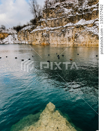 Flock of ducks swimming in turquoise waters of Zakrzowek lagoon, surrounded by snow covered limestone cliffs on cloudy winter day in Krakow, Poland. Ducks paddling across turquoise Zakrzowek lagoon Flock of ducks swimming in turquoise waters of Zakrzowek lagoon, surrounded by snow covered limestone cliffs on cloudy winter day in Krakow, Poland. Ducks paddling across turquoise Zakrzowek lagoon 130577402