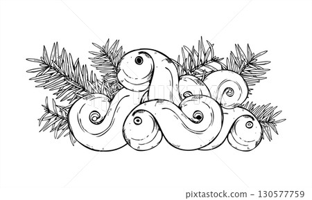 Swedish lussekatt pile and spruce branches outline drawing. Monochrome Christmas pines and saffron bun heap line ink illustration. Lusse pastry, fir for holiday decorations, festive packaging 130577759