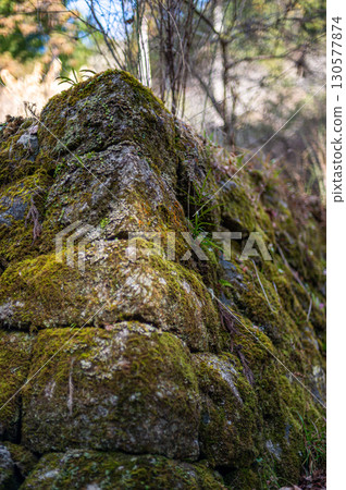 Otaki Valley Moss-covered stone walls 130577874