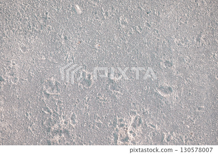 Close-up texture of foam block. Porous texture of stone. Macro photography 130578007