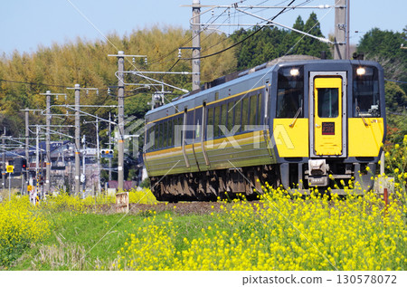 A Kiha 187 series diesel express train, Super Matsukaze, speeds along the Sanin Main Line, where yellow rape blossoms are in full bloom. A Kiha 187 series diesel express train, Super Matsukaze, speeds along the Sanin Main Line, where yellow rape blossoms are in full bloom. 130578072