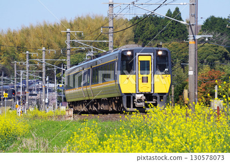一輛 Kiha 187 系列柴油特快列車「超級松風」沿著山陰本線疾馳,沿途的黃色油菜花盛開。 一輛 Kiha 187 系列柴油特快列車「超級松風」沿著山陰本線疾馳,沿途的黃色油菜花盛開。 130578073