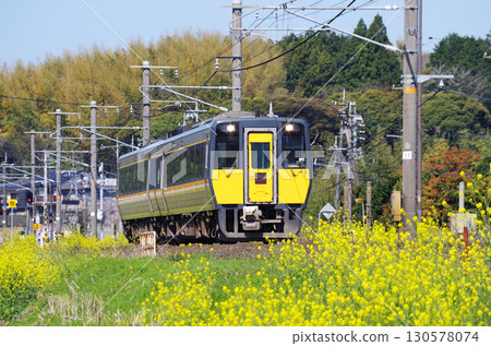 A Kiha 187 series diesel express train, Super Matsukaze, speeds along the Sanin Main Line, where yellow rape blossoms are in full bloom. A Kiha 187 series diesel express train, Super Matsukaze, speeds along the Sanin Main Line, where yellow rape blossoms are in full bloom. 130578074