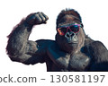 Cool gorilla wearing sunglasses and showing off his muscles 130581197