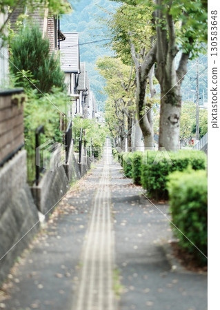 安靜住宅區綠樹環繞的人行道 安靜住宅區綠樹環繞的人行道 130583648