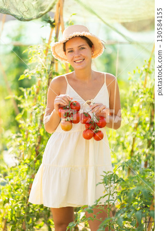 Young woman with tomato harvest in cottage garden Young woman with tomato harvest in cottage garden 130584155