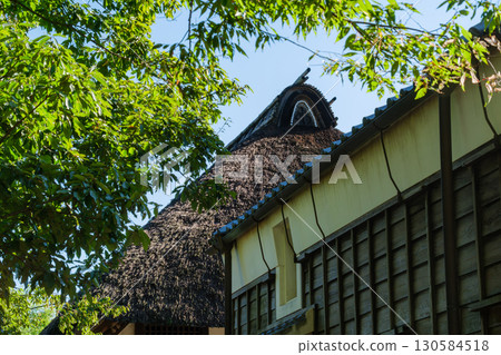 Thatched roof and white wall Thatched roof and white wall 130584518