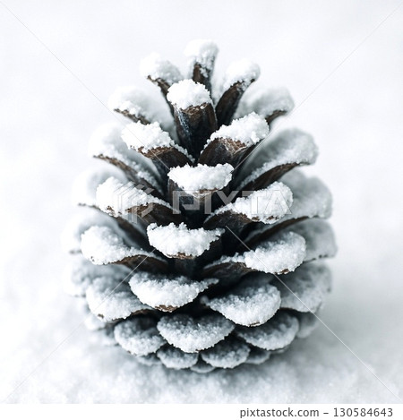 Image material expressing Christmas decorations, scenery, and the winter season: pine cones 130584643