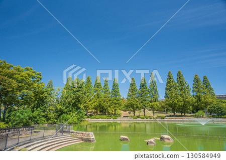 Johoku Park's rows of metasequoia trees (Osaka) 130584949
