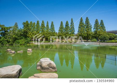 Johoku Park's rows of metasequoia trees (Osaka) 130584960