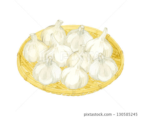Garlic on a bamboo colander. Hand-drawn watercolor illustration of vegetables and condiments. 130585245