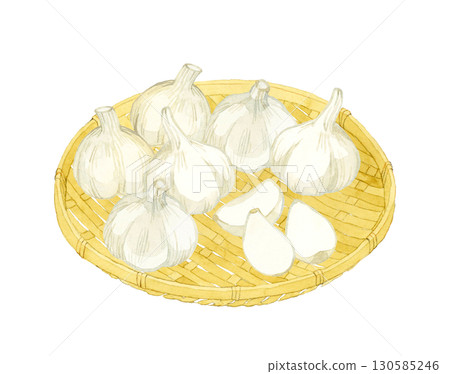 Garlic on a bamboo colander. Hand-drawn watercolor illustration of vegetables and condiments. 130585246