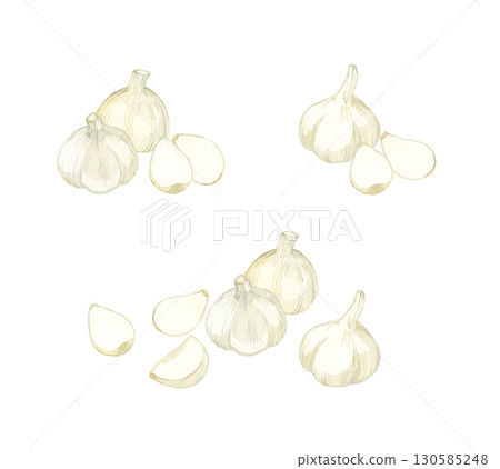 Garlic set - Hand-drawn watercolor illustration of vegetables and condiments Garlic set - Hand-drawn watercolor illustration of vegetables and condiments 130585248