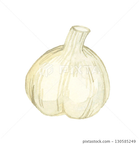 大蒜(單品)手繪水彩插圖的蔬菜和調味品 大蒜(單品)手繪水彩插圖的蔬菜和調味品 130585249