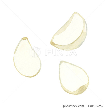Peeled garlic - hand-drawn watercolor illustration of vegetables and condiments 130585252