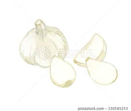 Garlic - Hand-drawn watercolor illustration of vegetables and condiments 130585253