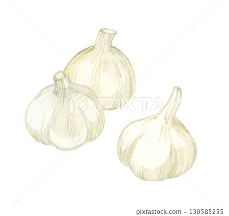 Garlic set - Hand-drawn watercolor illustration of vegetables and condiments 130585255