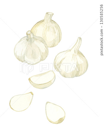 Garlic set - Hand-drawn watercolor illustration of vegetables and condiments 130585256