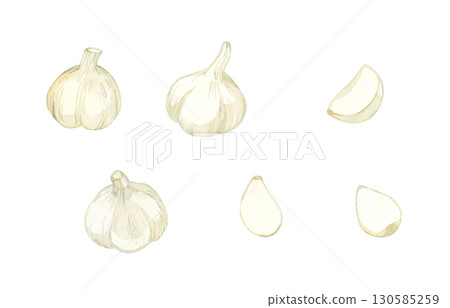 Garlic set - Hand-drawn watercolor illustration of vegetables and condiments 130585259